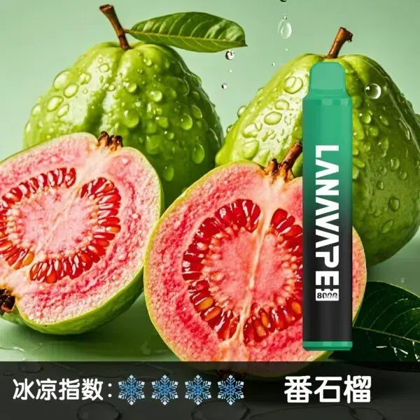LANA8000口番石榴-600x600jpgwebp - ILIA 拓撲蒸汽 | 台灣電子煙主機煙彈一次性選物商城