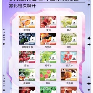 XIAOKE 可替換式電子煙 (相容 RELX6代)